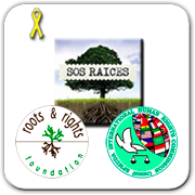 SOS RAICES ASOCIACION